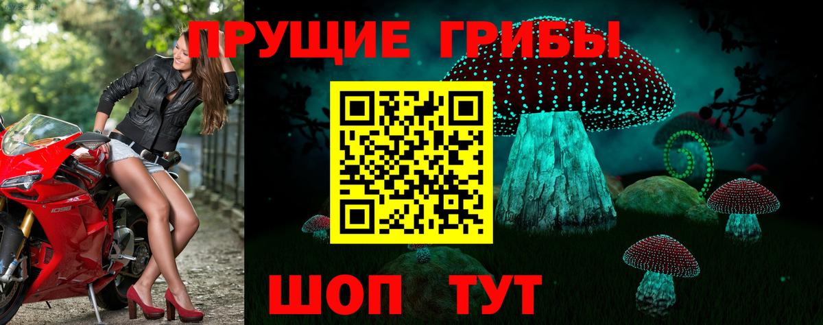 Выборг  Псилоцибиновые грибы прущие грибы  Галлюциногенные грибы прущие грибы  Вход с VPN 