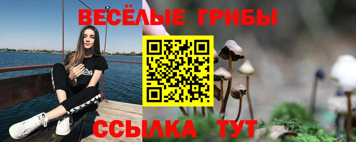 Галлюциногенные грибы GOLDEN TEACHER Выборг
